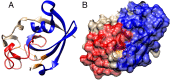 Fig. 3.