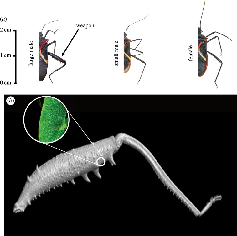 Figure 1.