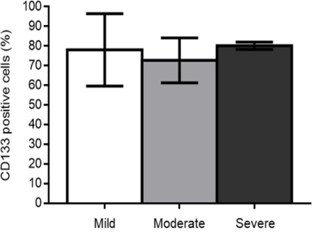 Graphic 2