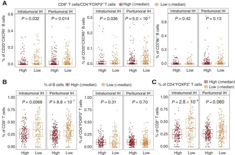 Figure 6. The relationship among B-cell, T-cell percentages and CD8+/CD4+FOXP3+ ratio in individual intratumoral IH and peritumoral IH without TLS or LAG. A, Percentages of B-cell subsets in individual intratumoral and peritumoral IH classified by CD8+/CD4+FOXP3+ ratio. The high and low groups were determined by the cut-off of median CD8+/CD4+FOXP3+ ratio in intratumoral and peritumoral IH, respectively. B, Percentages of CD8+ T cells and CD4+FOXP3+ T cells in individual intratumoral and peritumoral IH classified by the percentage of B cells. This B-cell percentage was calculated as the total count of all B-cell subsets divided by the total count of all 6 immune cell types. C, Percentages of CD8+ T cells in individual intratumoral and peritumoral IH classified by CD4+FOXP3+ T-cell percentages. Statistical significance was evaluated by the Wilcoxon rank sum test and adjusted by the Benjamini–Hochberg method.