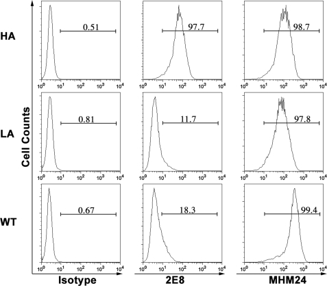 FIGURE 1.