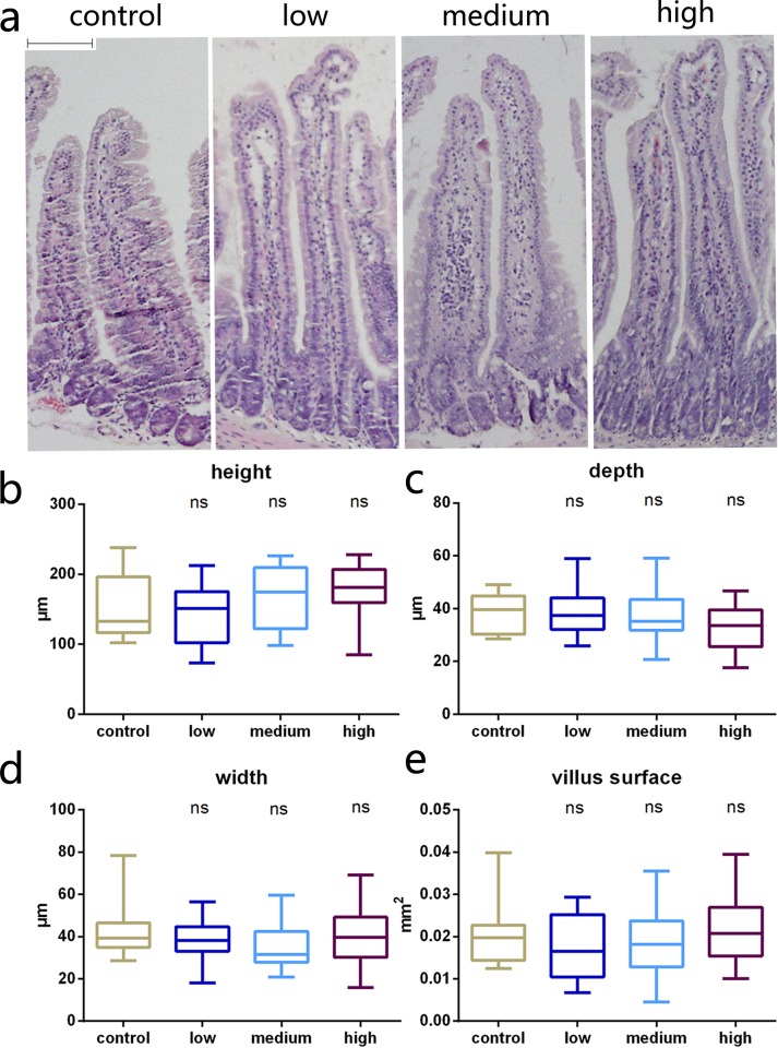 Fig 4