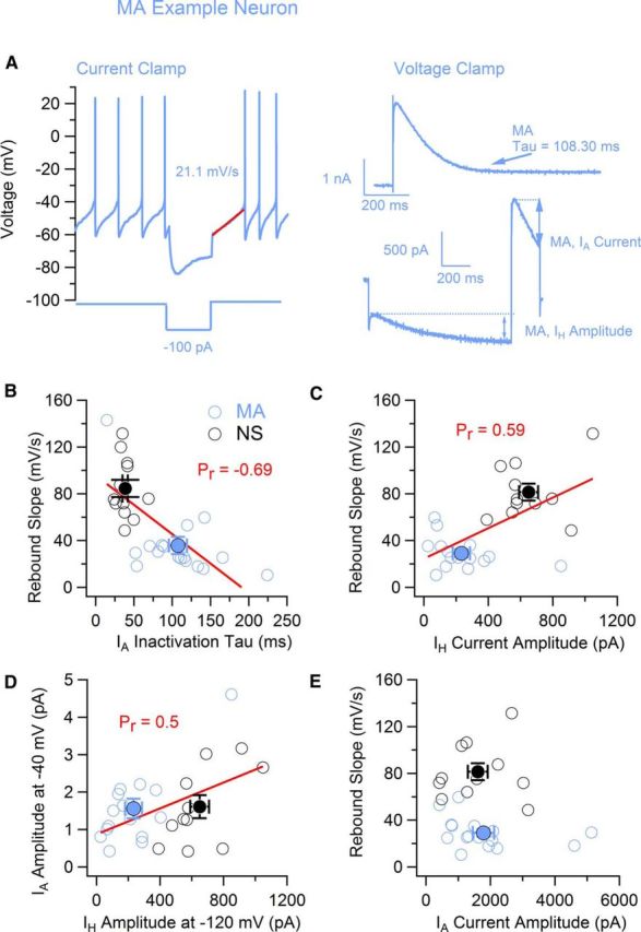 Figure 10.