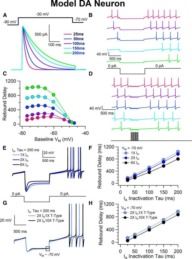 Figure 11.