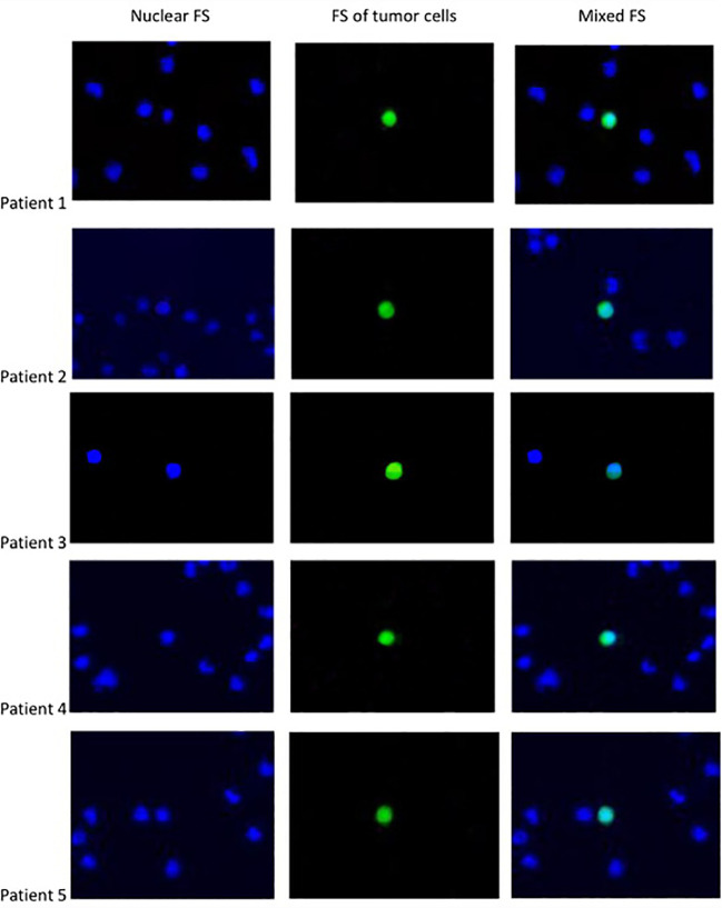 Figure 1