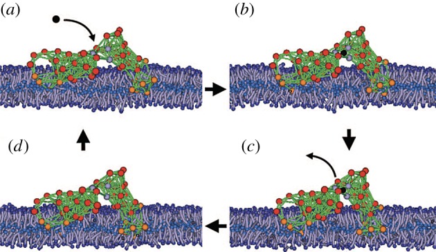 Figure 11.