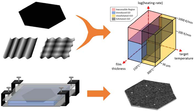 graphic file with name nihms-1660022-f0001.jpg