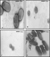 FIG. 4.