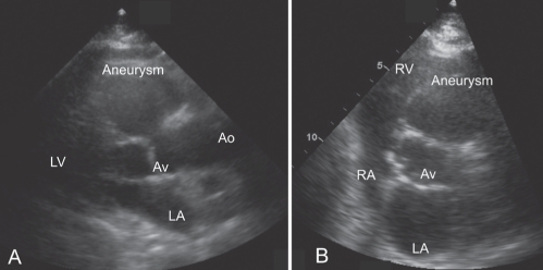 Figure 1)