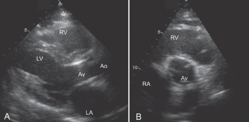 Figure 3)