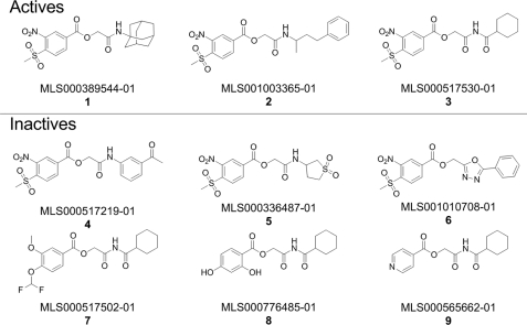 FIGURE 1.