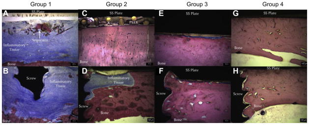 Fig. 13