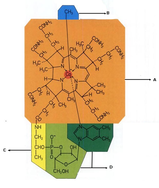 Figure 6 