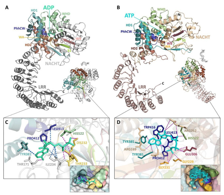 Figure 2