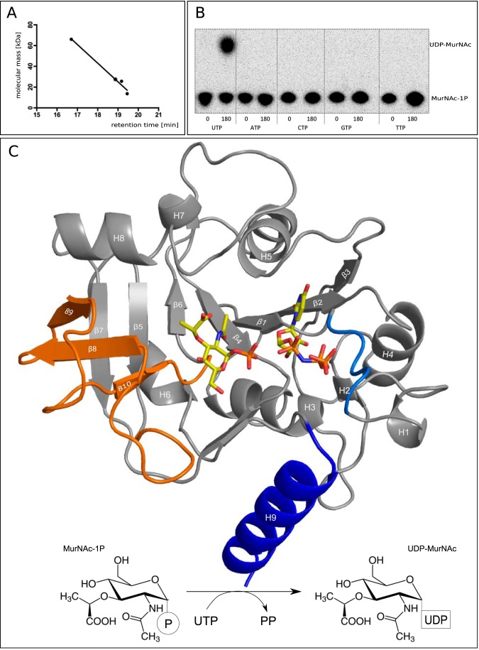 FIGURE 1.