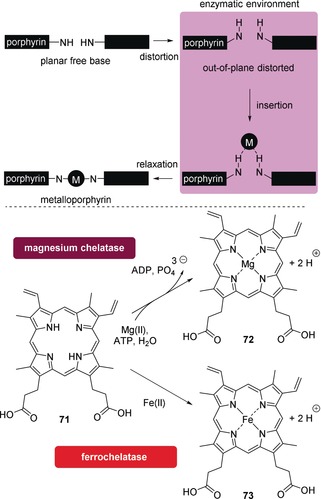 Figure 18