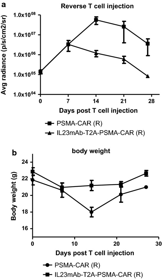 Fig. 4