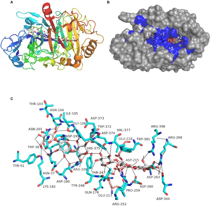 FIGURE 2