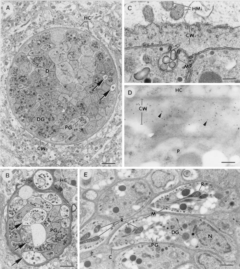 FIG. 5