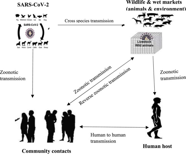 Image, graphical abstract