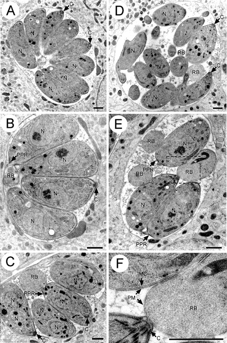 Figure 9.