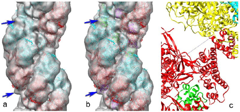 Fig. 3