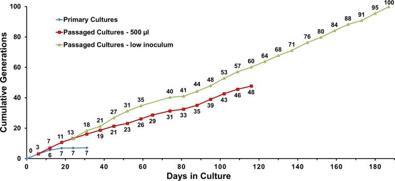 FIG 2 