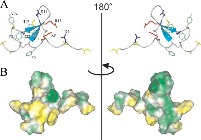 FIGURE 5.