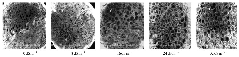 Figure 12