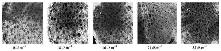 Figure 10