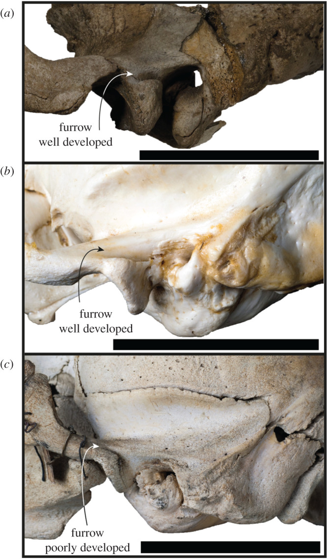 Figure 13.