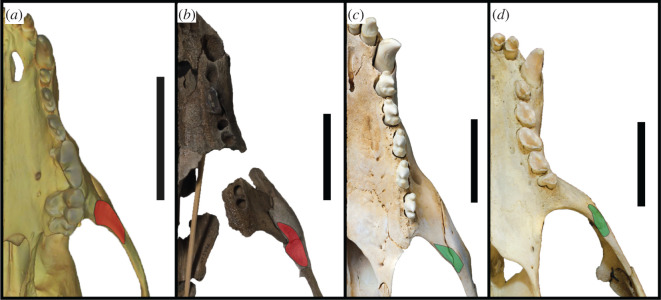 Figure 12.