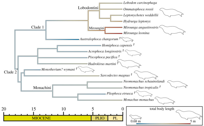 Figure 18.