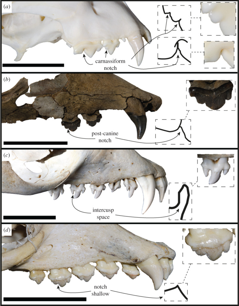 Figure 10.