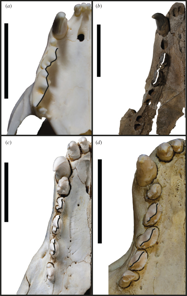 Figure 11.