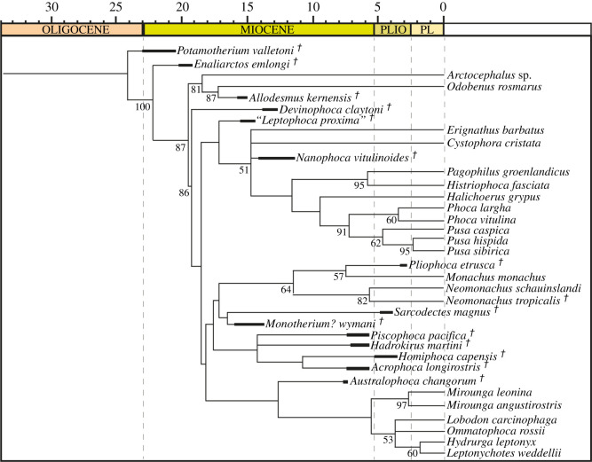 Figure 17.