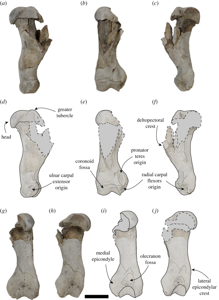 Figure 6.