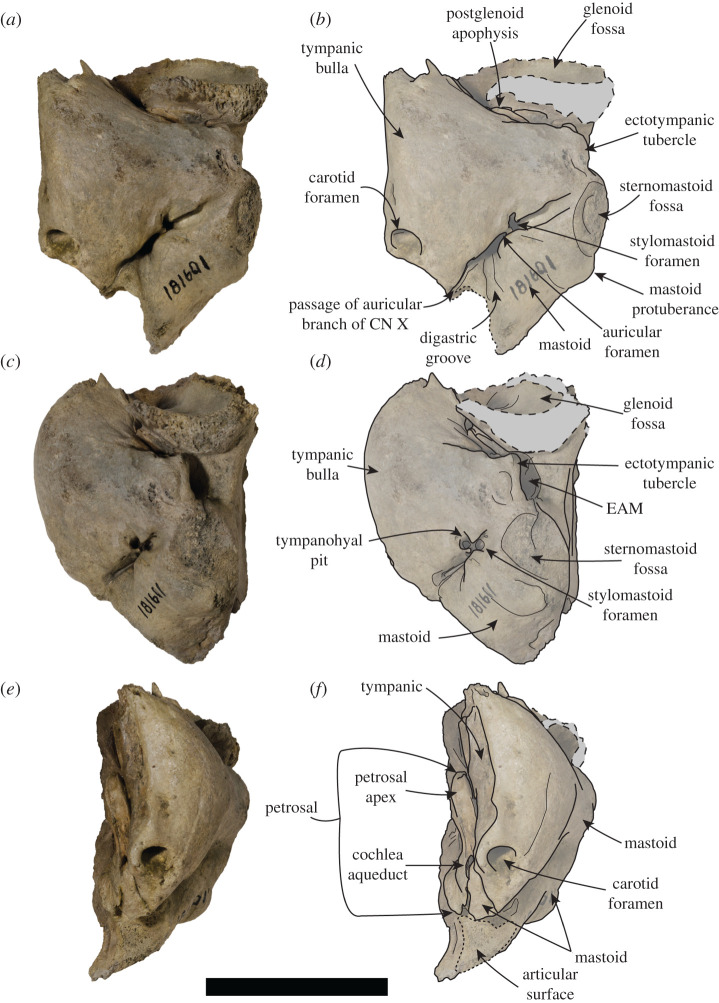 Figure 7.