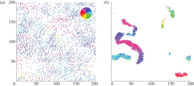 Figure 5.