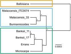 Figure 10