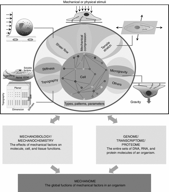 Figure 2