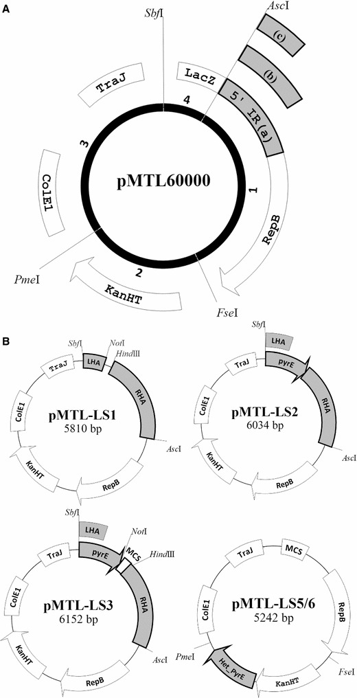Fig. 1