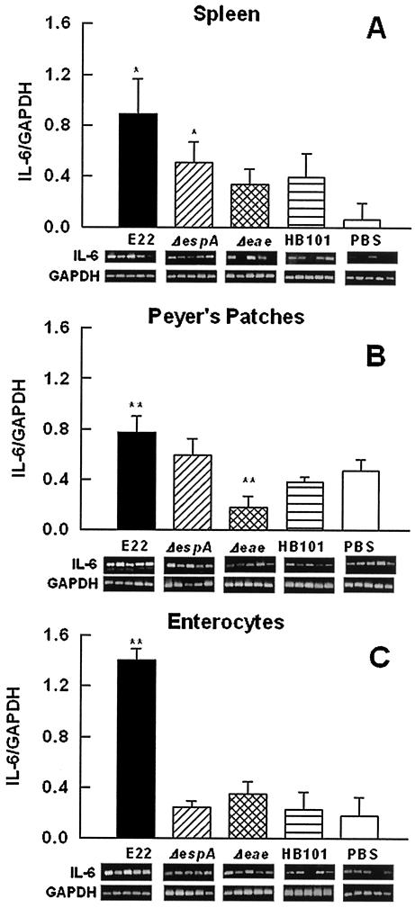 FIG. 6.