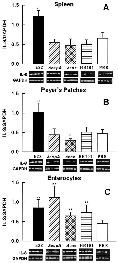 FIG. 7.