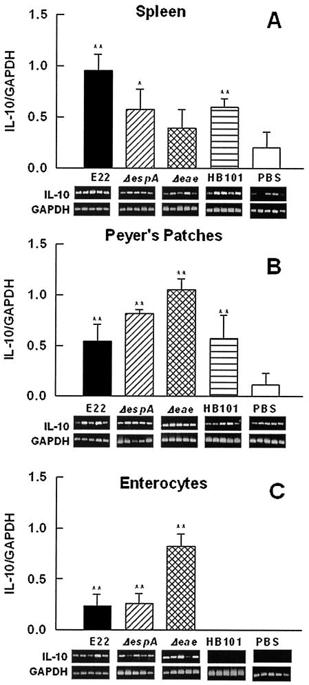 FIG. 8.