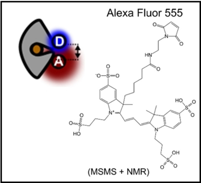 graphic file with name CPHC-22-1566-g004.jpg