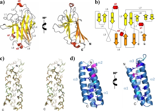 FIGURE 2.
