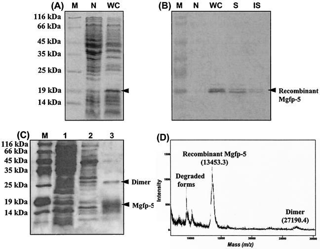 FIG. 2.