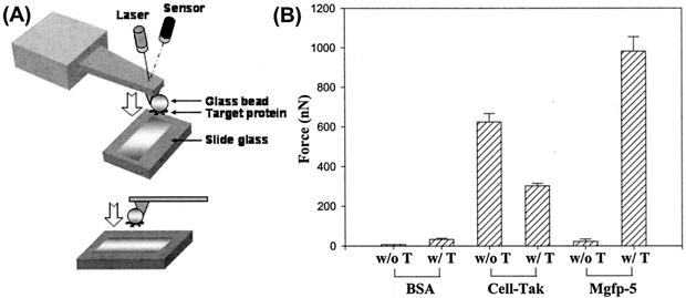 FIG. 5.