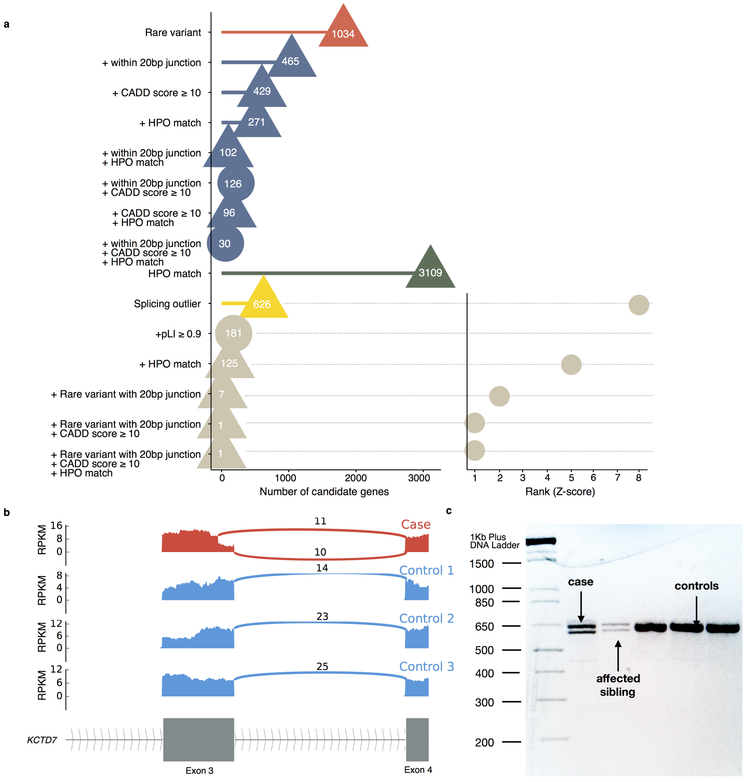 Figure 4: